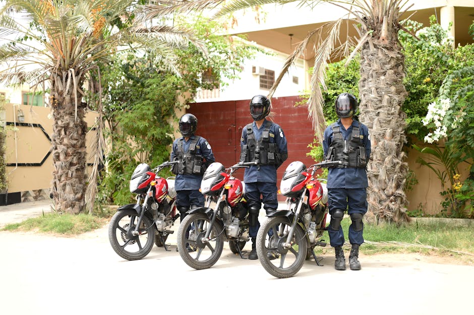 Illustration du métier de Agent / Agente d'exploitation transport routier de personnes