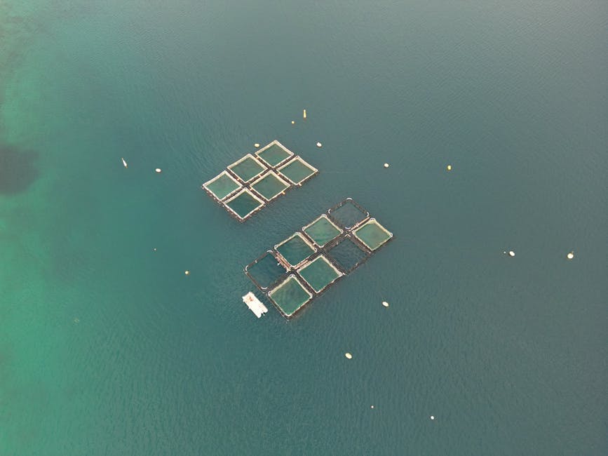 Illustration du métier de Aquaculteur / Aquacultrice