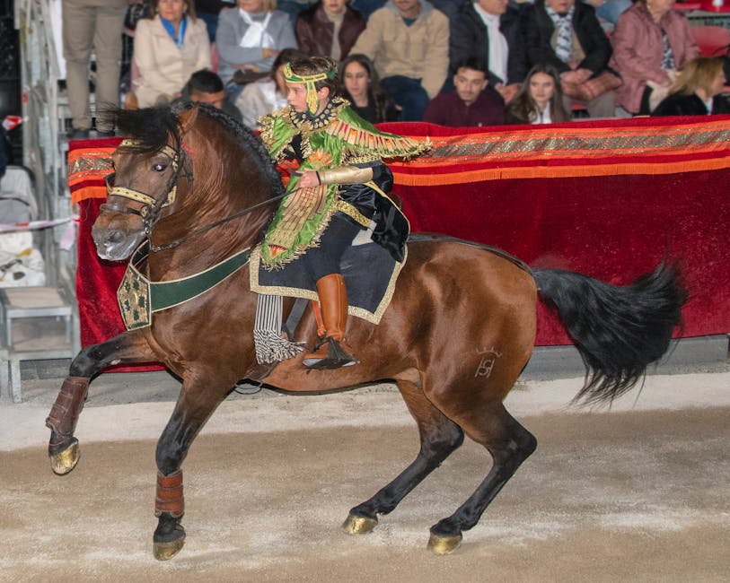 Illustration du métier de Cavalier / Cavalière de spectacle