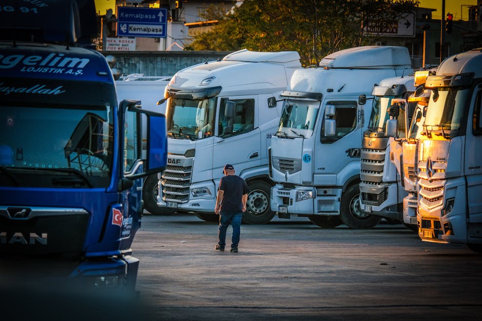 Illustration du métier de Chauffeur / Chauffeuse de direction