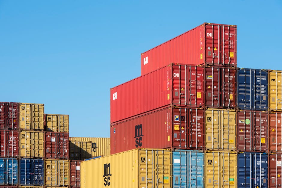 Illustration du métier de Coordinateur / Coordinatrice transit en import - export