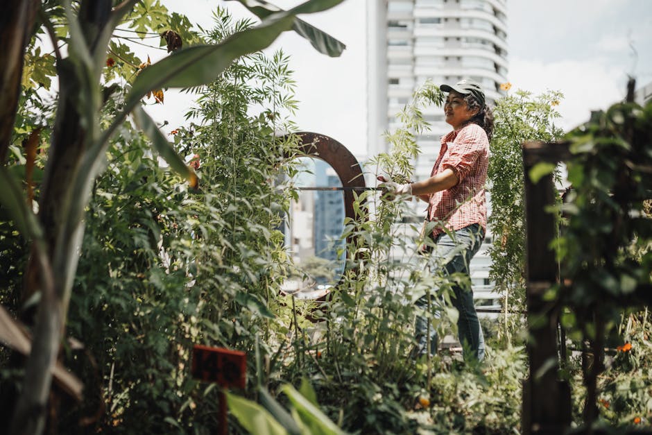 Illustration du métier de Cultivateur urbain / Cultivatrice urbaine