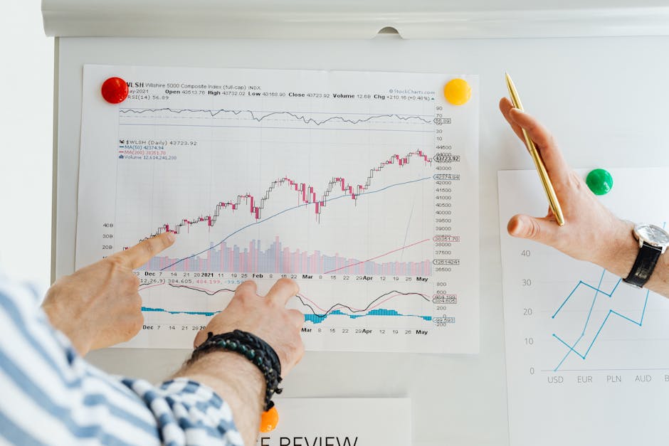 Illustration du métier de Economiste financier / Economiste financière