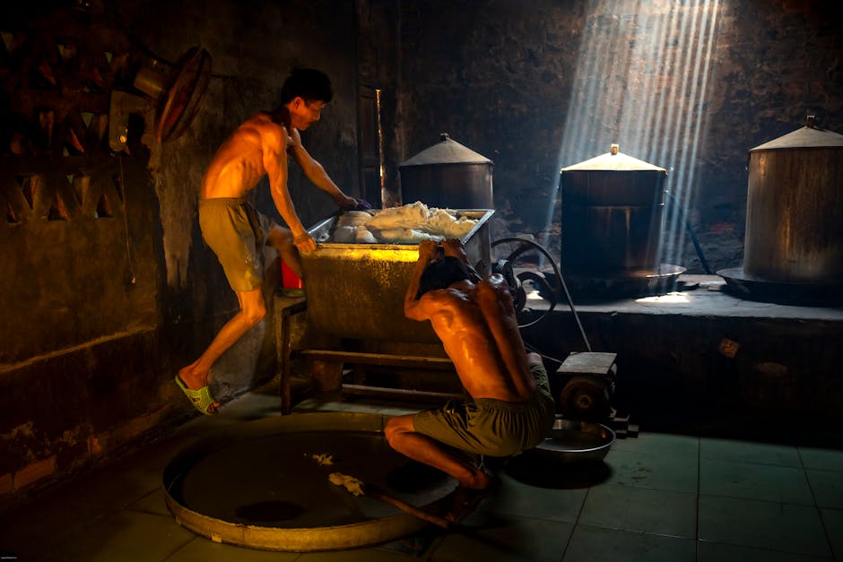 Illustration du métier de Fromager industriel / Fromagère industrielle