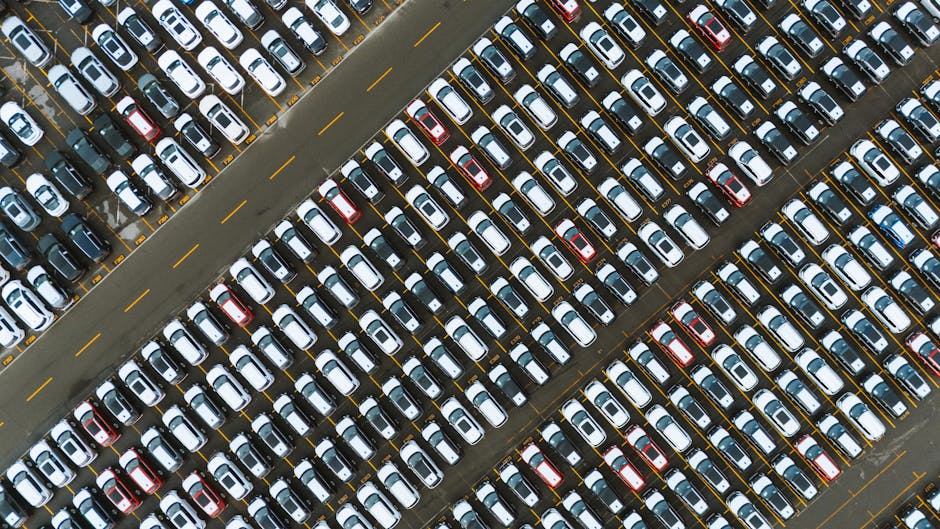 Illustration du métier de Gérant / Gérante de négoce automobile