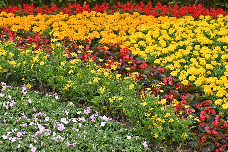 Illustration du métier de Horticulteur / Horticultrice