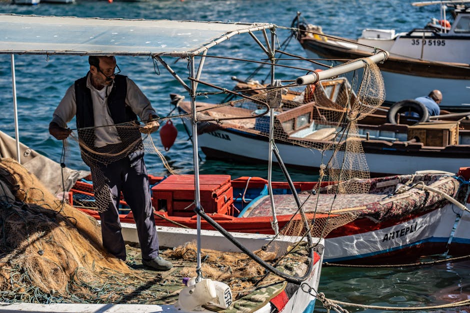 Illustration du métier de Pêcheur sous-marin / Pêcheuse sous-marine