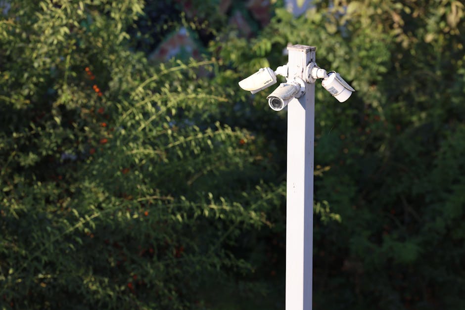 Illustration du métier de Surveillant / Surveillante en milieu scolaire