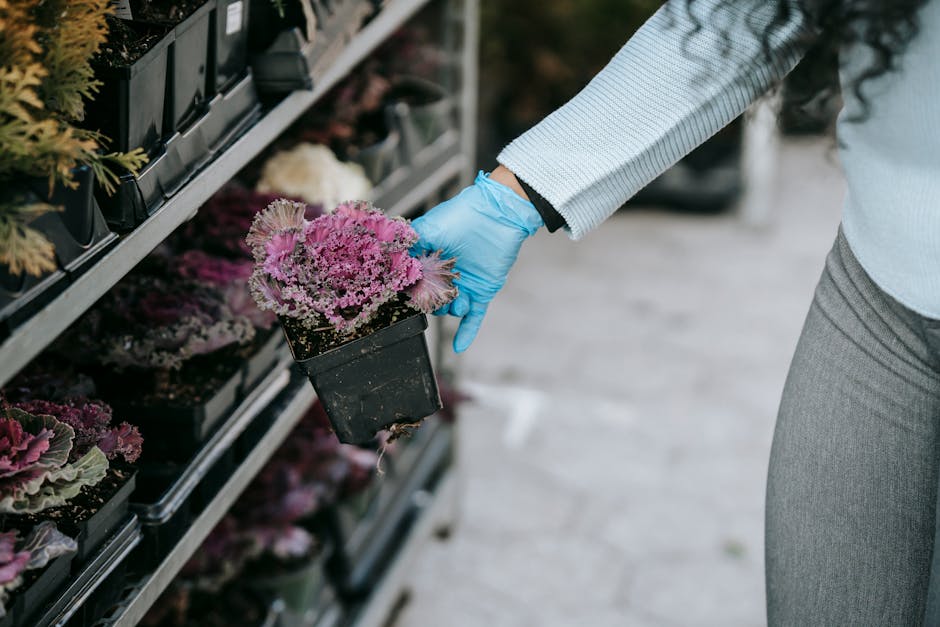 Illustration du métier de Vendeur / Vendeuse conseil en jardinerie
